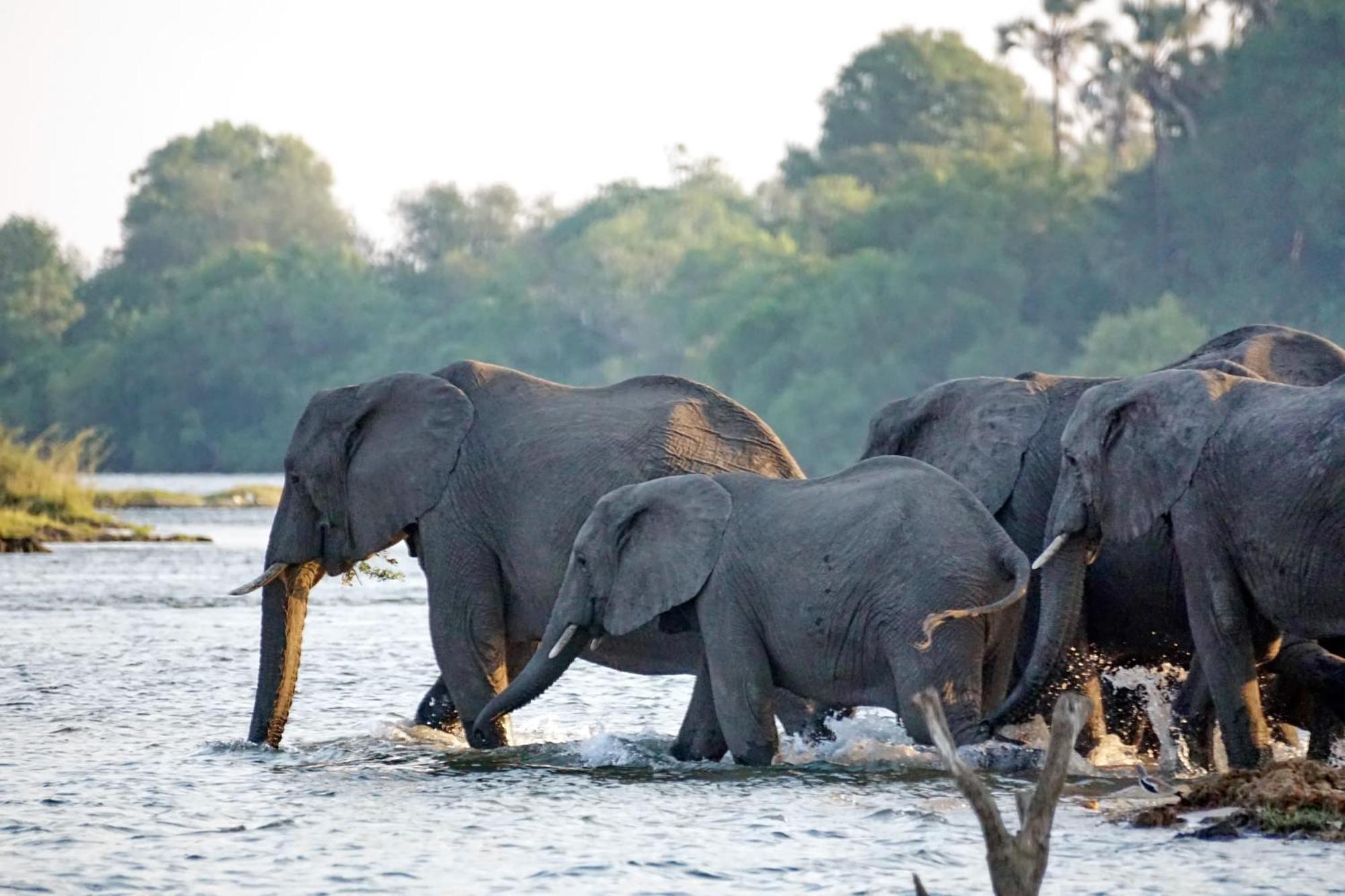 Chundukwa River Lodge - Self Catering House Livingstone Extérieur photo